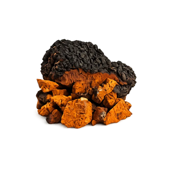 Chaga