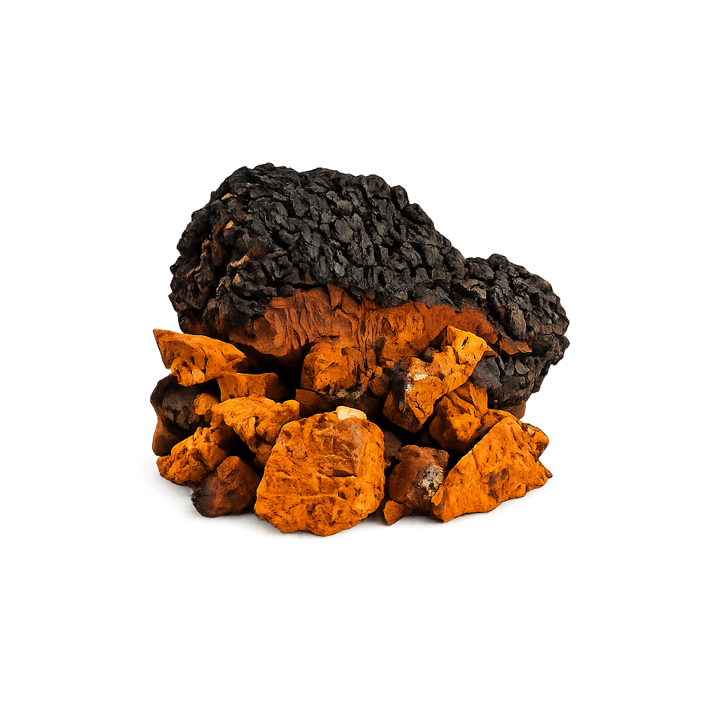 Chaga