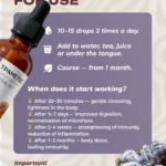Turkey Tail mushroom extract dosage and recommendations for use