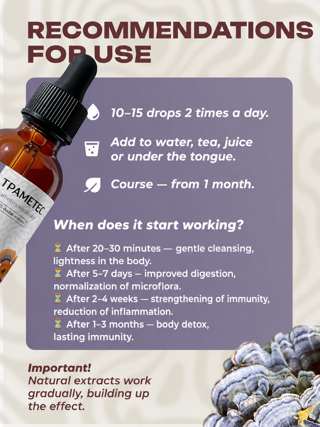 Turkey Tail mushroom extract dosage and recommendations for use