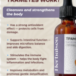 How Turkey Tail Trametes versicolor mushroom extract works infographic
