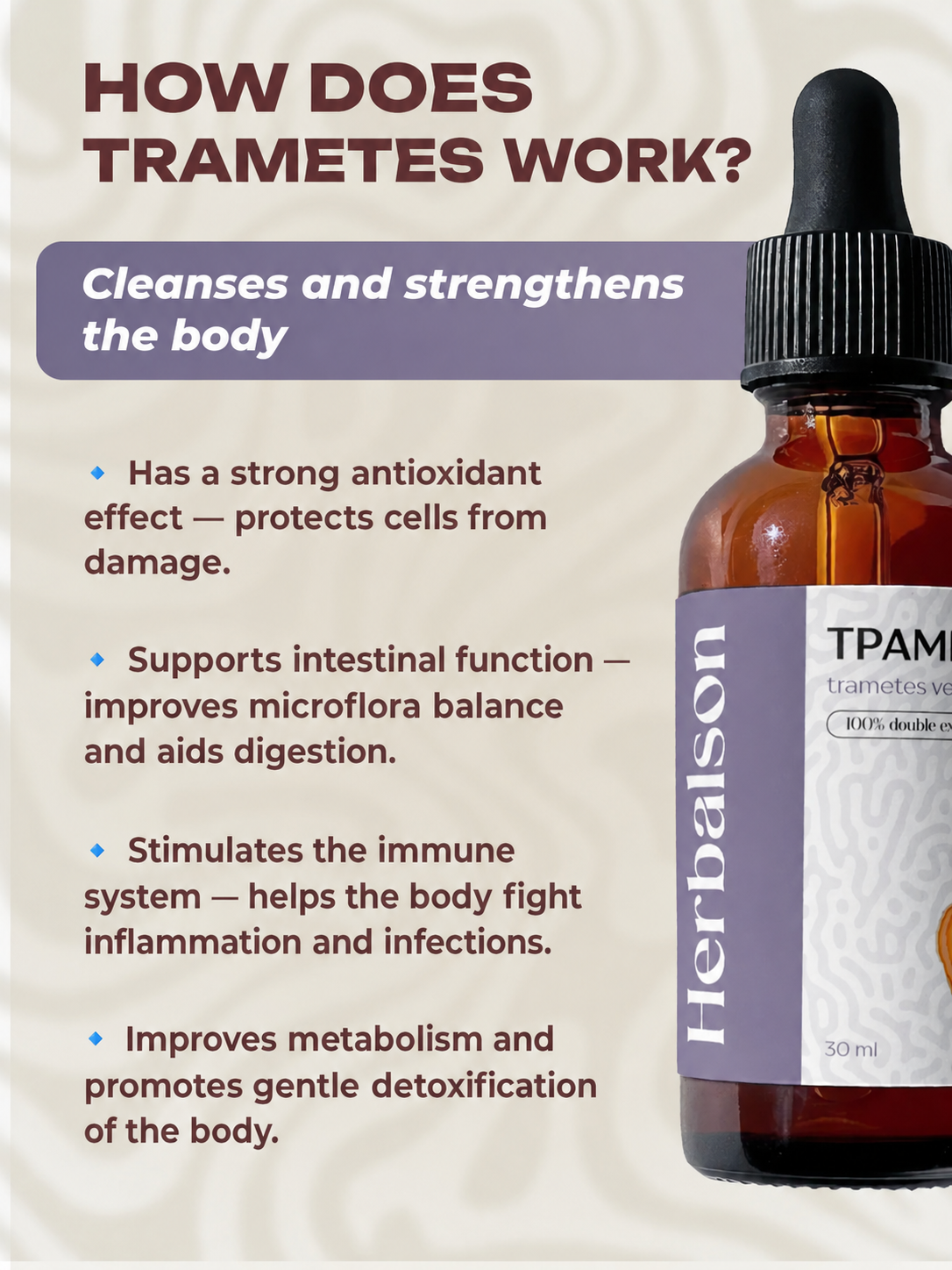 How Turkey Tail Trametes versicolor mushroom extract works infographic