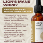 How Lion's Mane mushroom extract works infographic