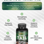 Turkey Tail mushroom capsules product benefits infographic