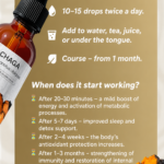 Chaga mushroom extract dosage and recommendations for use
