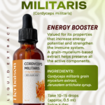 Cordyceps Militaris liquid extract ingredients and product information