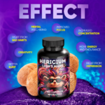 Lion's Mane capsules product effects infographic