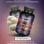 Lion's Mane mushroom capsules composition and active components