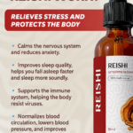 How Reishi mushroom double extract works infographic