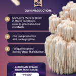 Herbalson Lion's Mane mushroom production and quality control