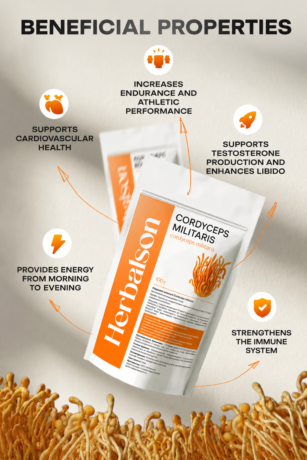 Herbalson mushroom powder set product features infographic