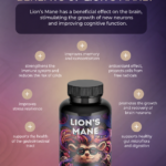 Lion's Mane mushroom capsules product benefits infographic