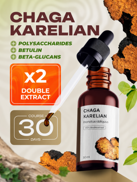 Chaga extract