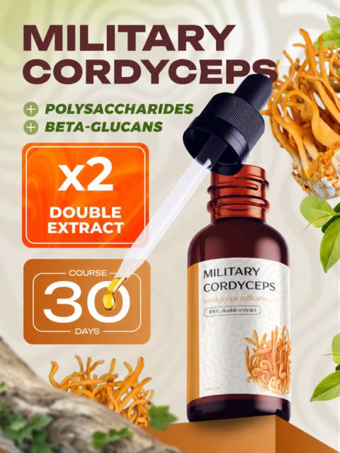 Cordyceps Militaris Double Liquid Extract 30ml | Energy, Endurance & Immune Support