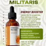Cordyceps Militaris liquid extract ingredients and product information