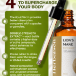 Benefits and features of the four mushroom double extract tincture set