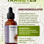Turkey Tail Trametes double liquid extract 30 ml product information