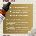 Lion's Mane mushroom extract dosage and recommendations for use