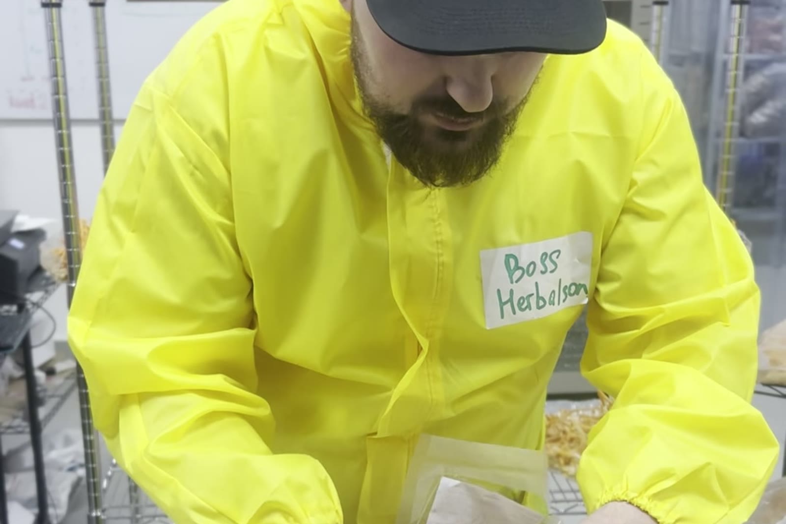 Sorting the harvest by hand